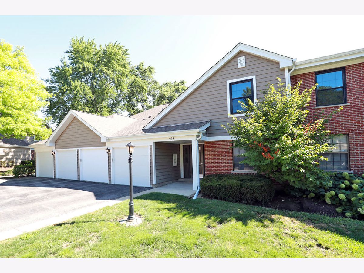 Condominiums & Homes For Rent Lexington Village Schaumburg Illinois