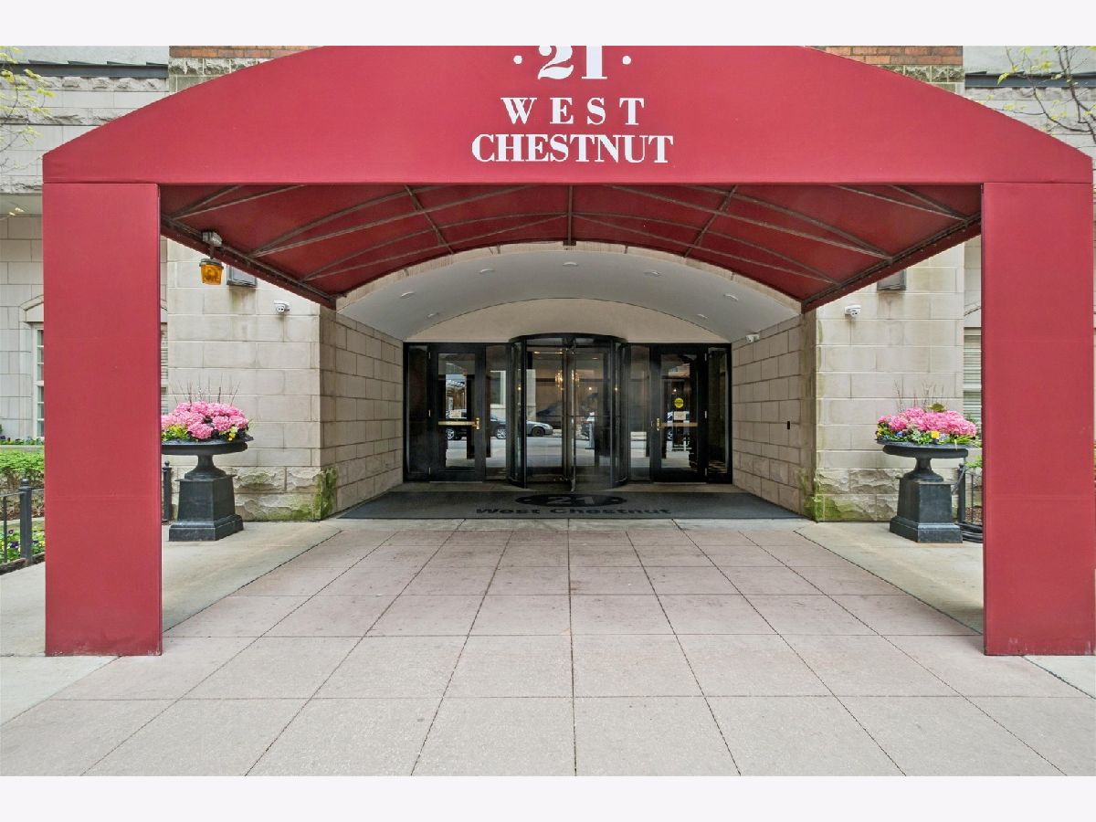  For Sale Chicago Illinois, 21 Chestnut Street