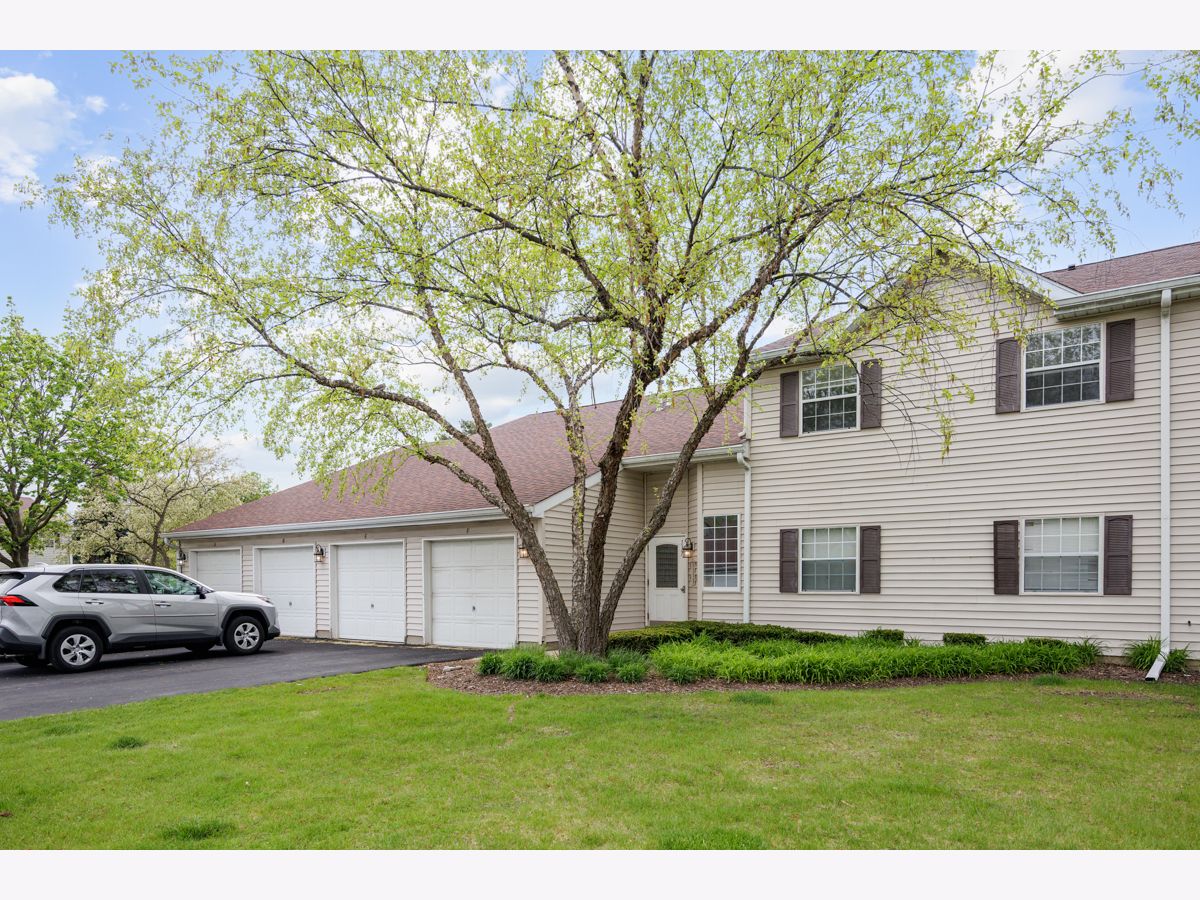  Rented Streamwood Illinois, 117 Gant
