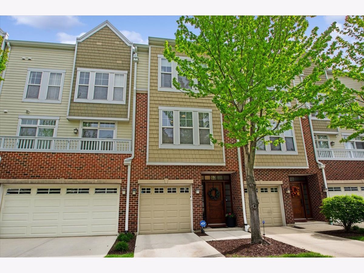  For Sale Forest Park Illinois, 527 Grove Lane