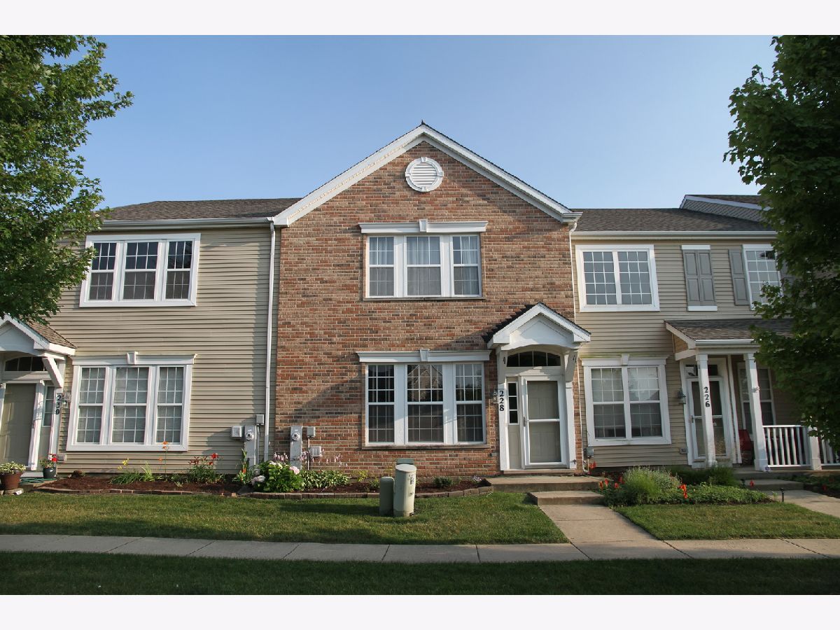  For Rent Oswego Illinois, 228 Springbrook