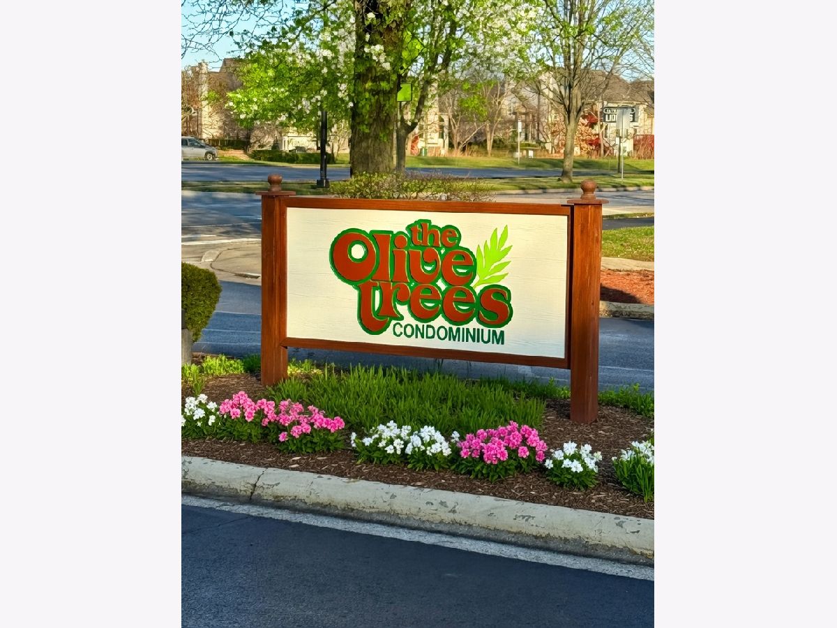  For Rent Naperville Illinois, 204 Bailey