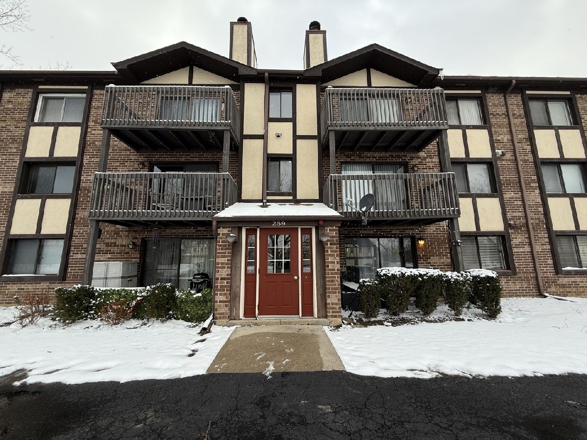  For Rent Bloomingdale Illinois, 259 Stoneybrook