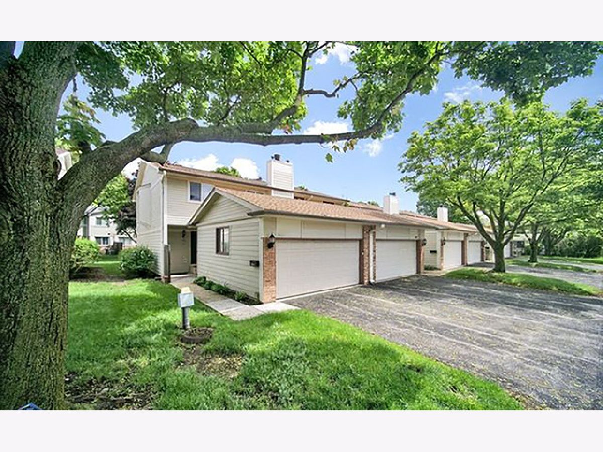 Townhomes Rented Park West Deerfield Illinois, 878 Swan