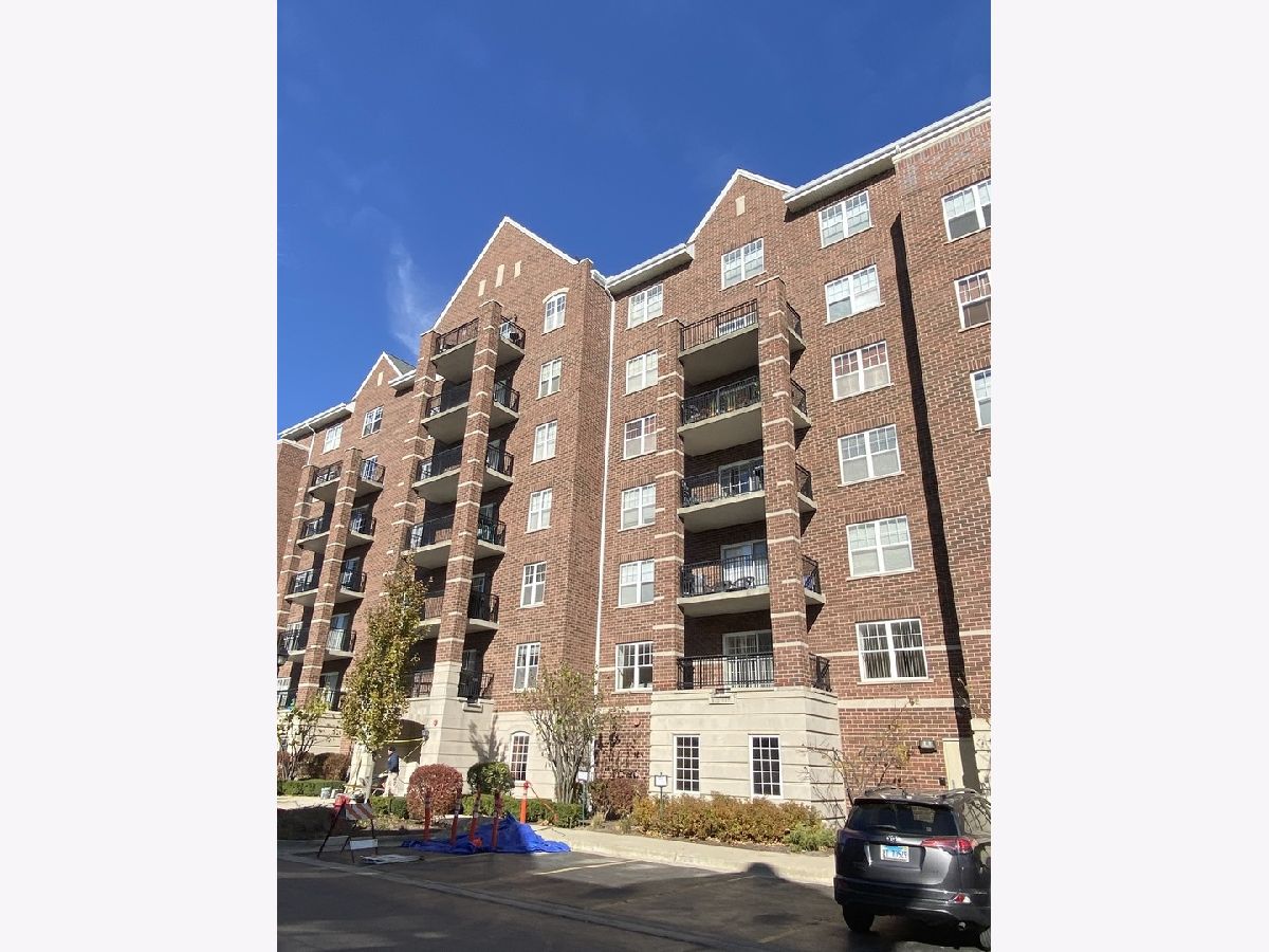  For Rent Palatine Illinois, 390 Mahogany