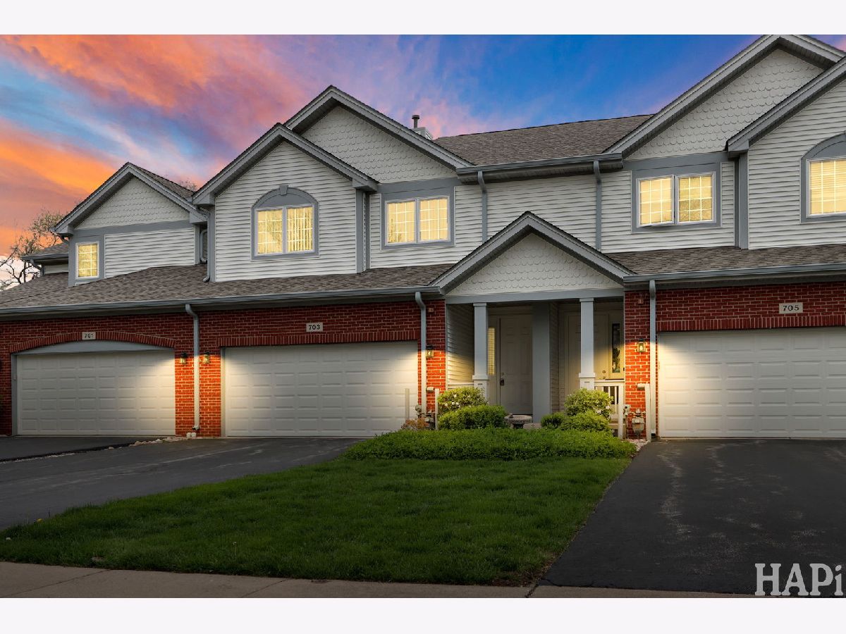  For Sale Gurnee Illinois, 703 Owl Creek Lane