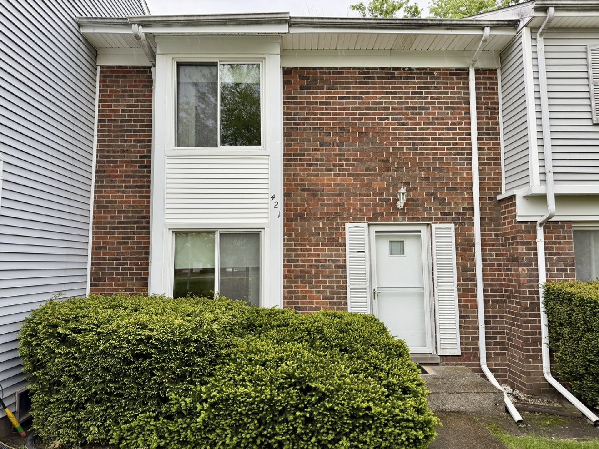 Townhomes For Sale Beaconridge Bolingbrook Illinois, 421 Standish Court