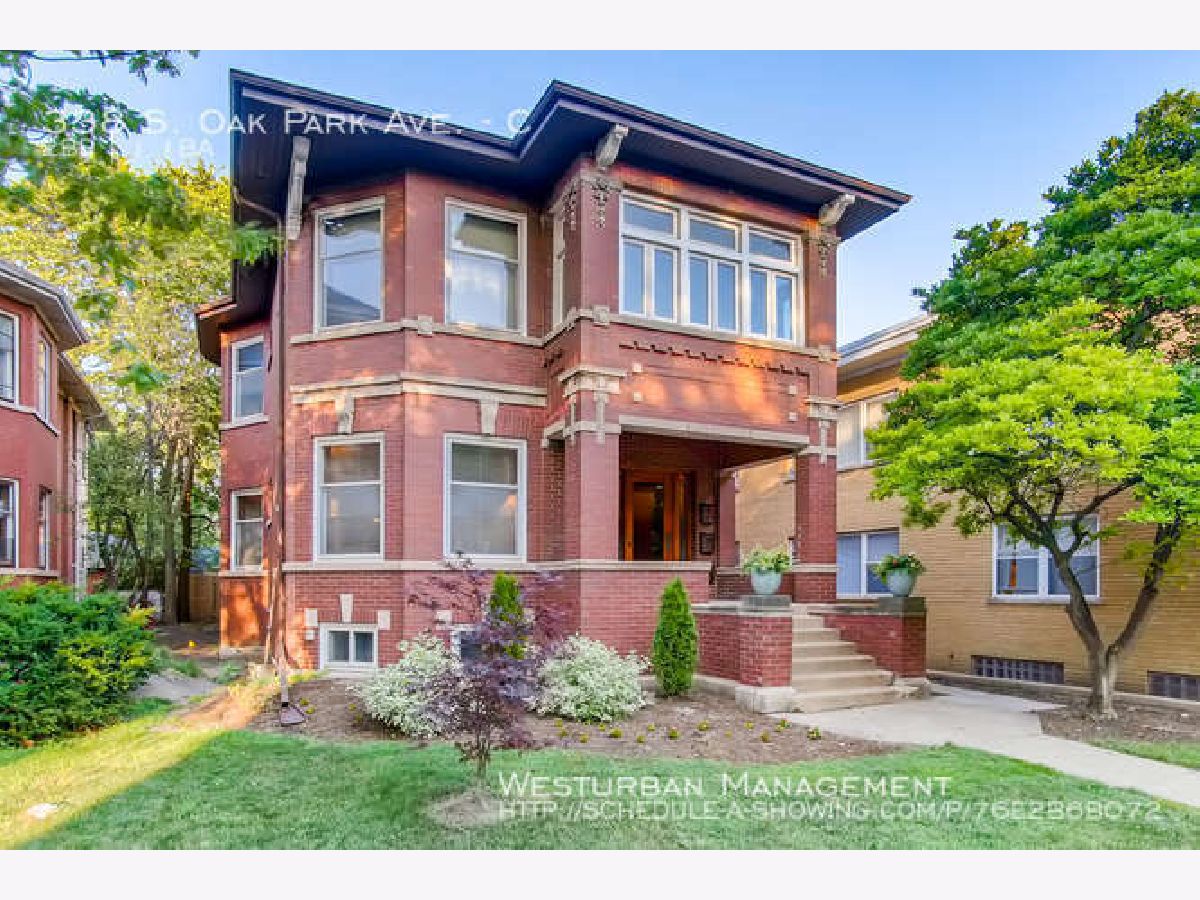  For Rent Oak Park Illinois, 338 Oak Park