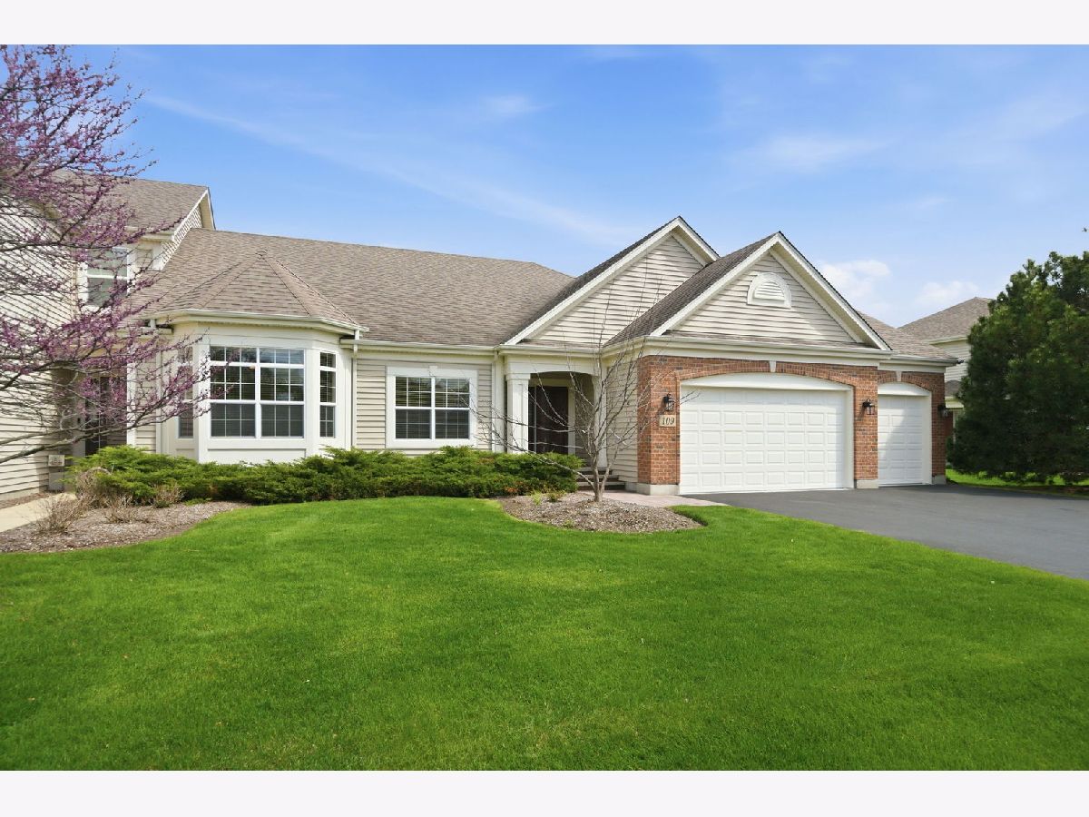 Townhomes & Homes For Sale Gilberts Town Center Gilberts Illinois, 109 Valencia Parkway