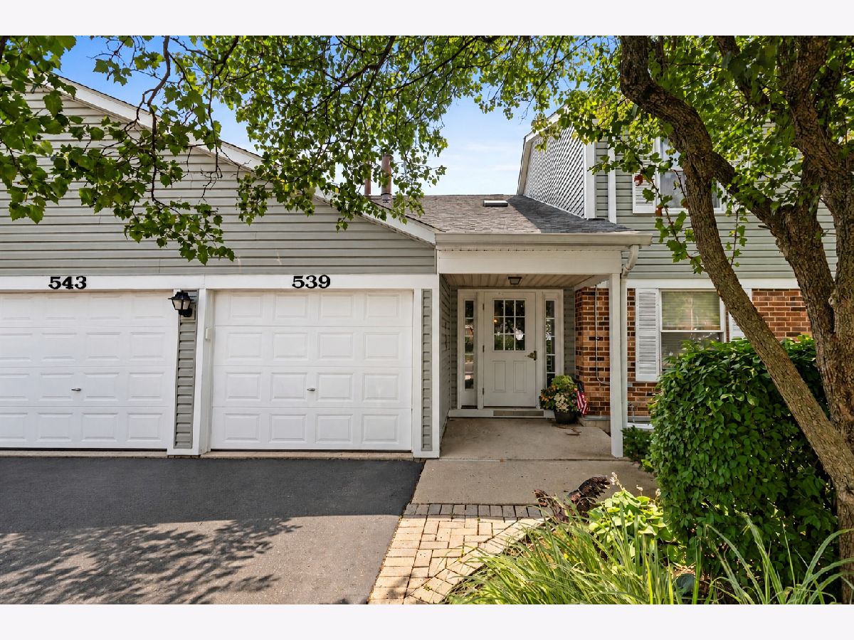 Condominiums For Sale Deer Run Palatine Illinois, 543 Deer Run Drive