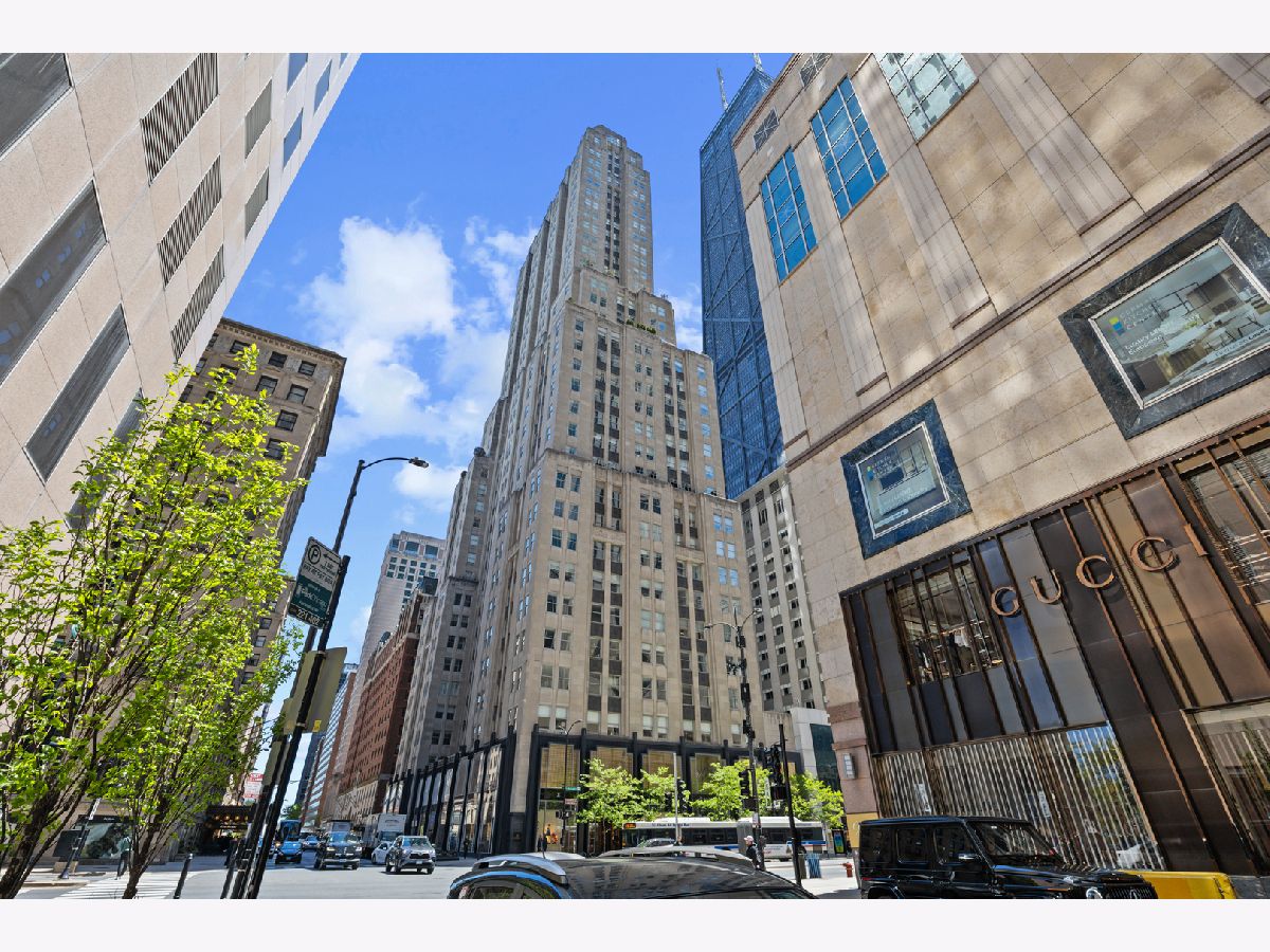 Condos & Townhomes For Sale Palmolive Building Landmark Chicago Illinois, 159 Walton Place