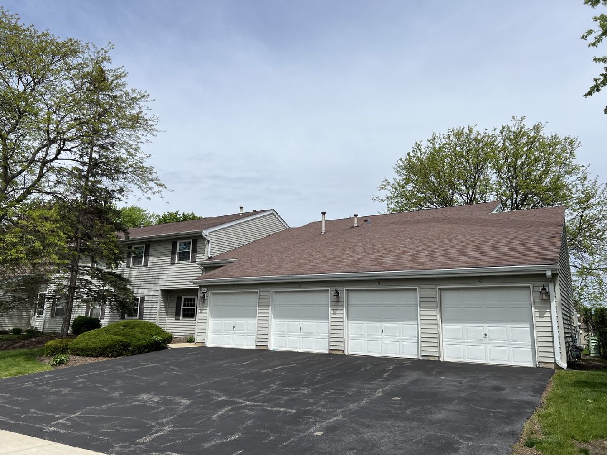  Rented Streamwood Illinois, 36 Gant
