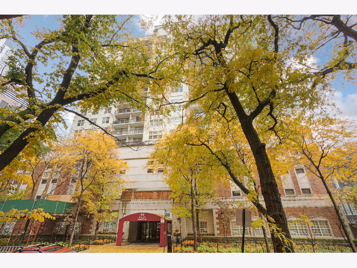  Rented Chicago Illinois, 21 Chestnut