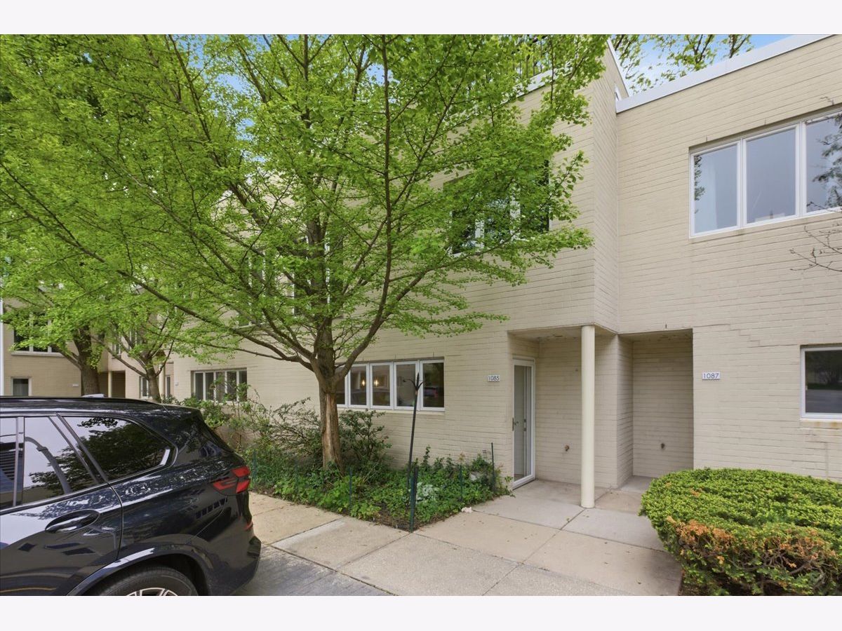 Condos & Townhomes & Homes For Sale Dearborn Park Chicago Illinois, 1085 Park Terrace