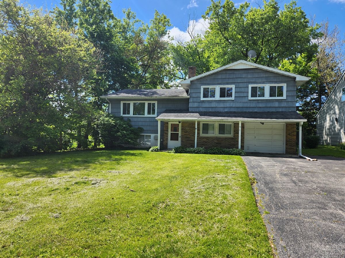 Homes For Sale Oakview Lisle Illinois, 629 Jonquil Avenue