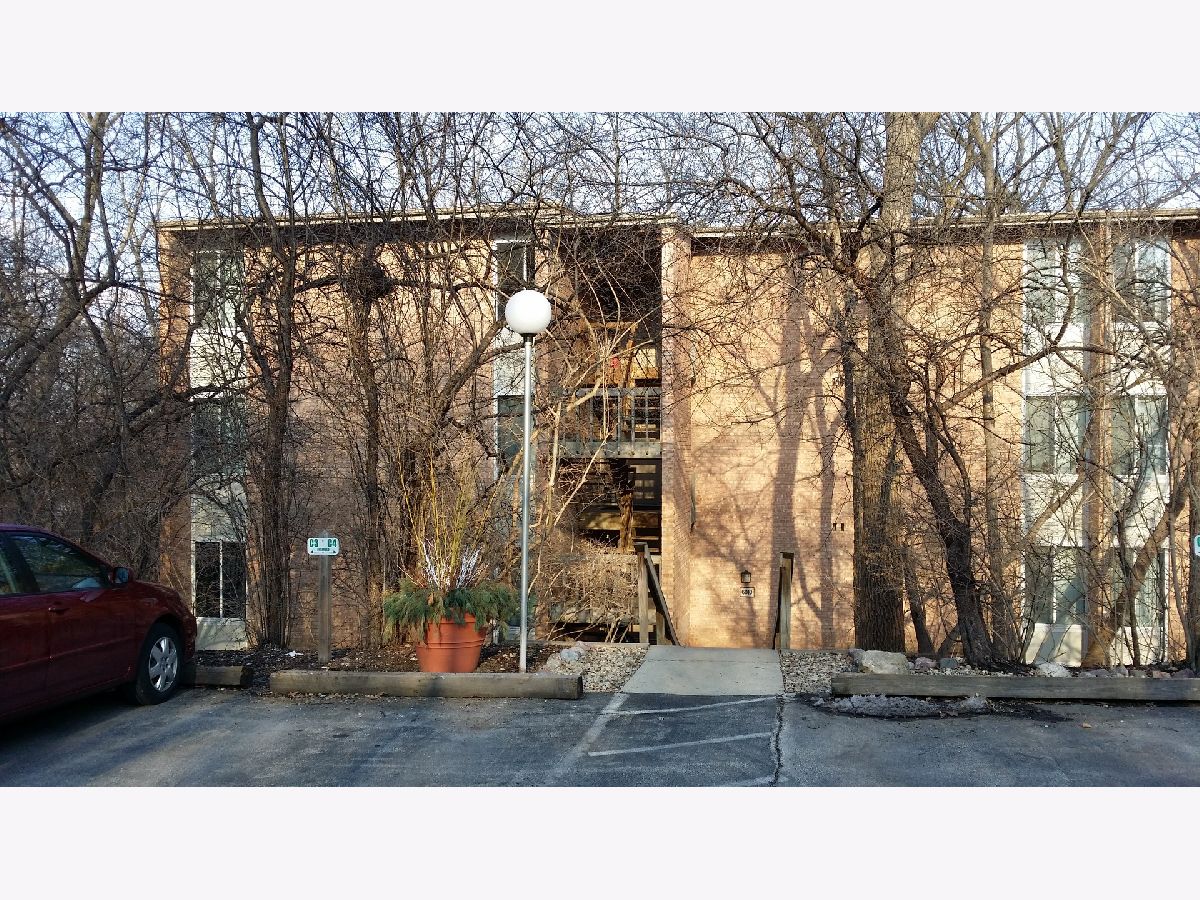 Condos & Townhomes For Sale Four Lakes Lisle Illinois, 6010 Forest View Road