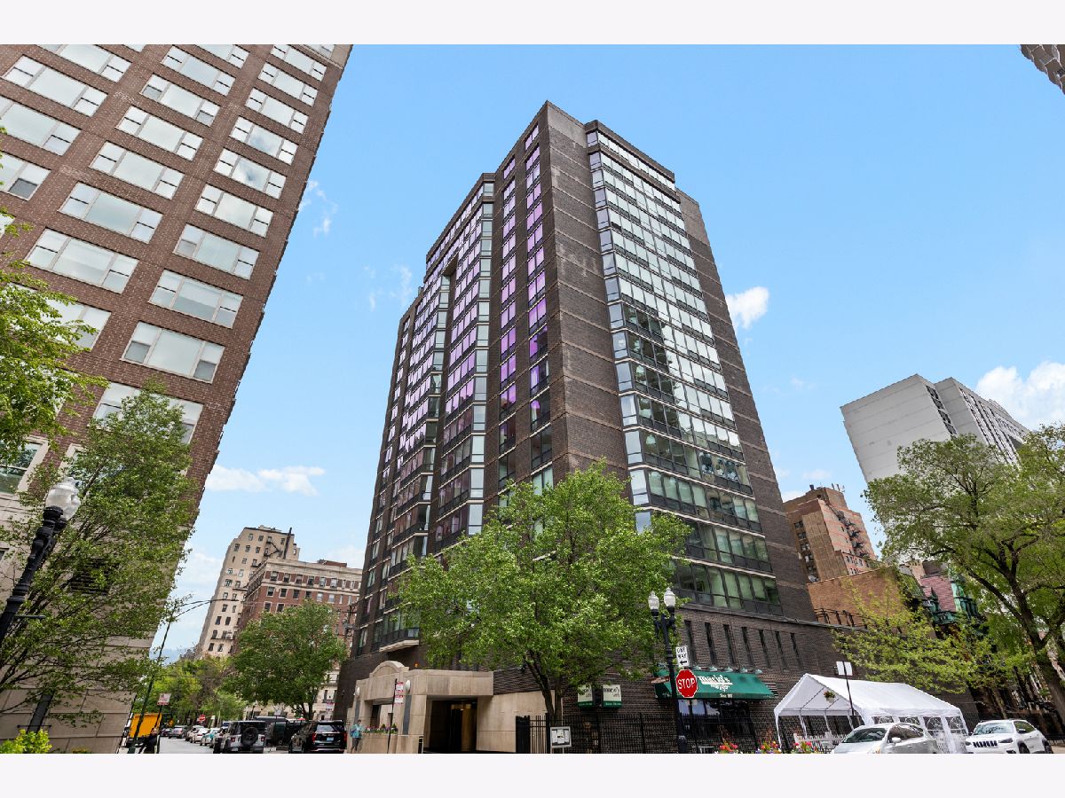 Condominiums Rented Hanover House Chicago Illinois, 21 Goethe