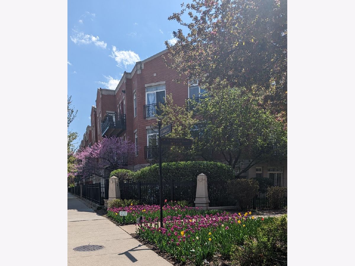 Condos & Townhomes & Homes For Rent University Village Chicago Illinois, 1406 Halsted