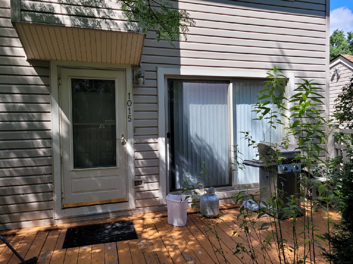  For Rent Schaumburg Illinois, 1015 Casa