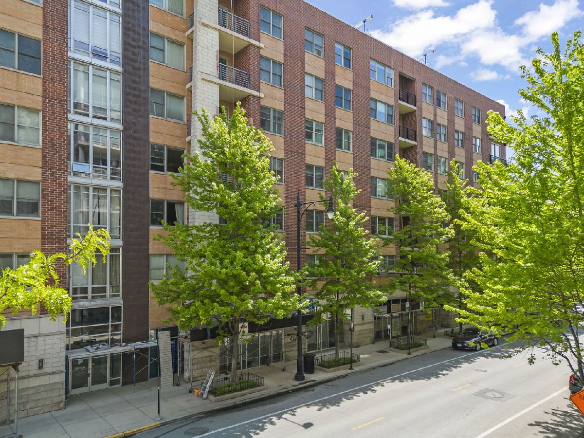  For Sale Chicago Illinois, 873 Larrabee Street