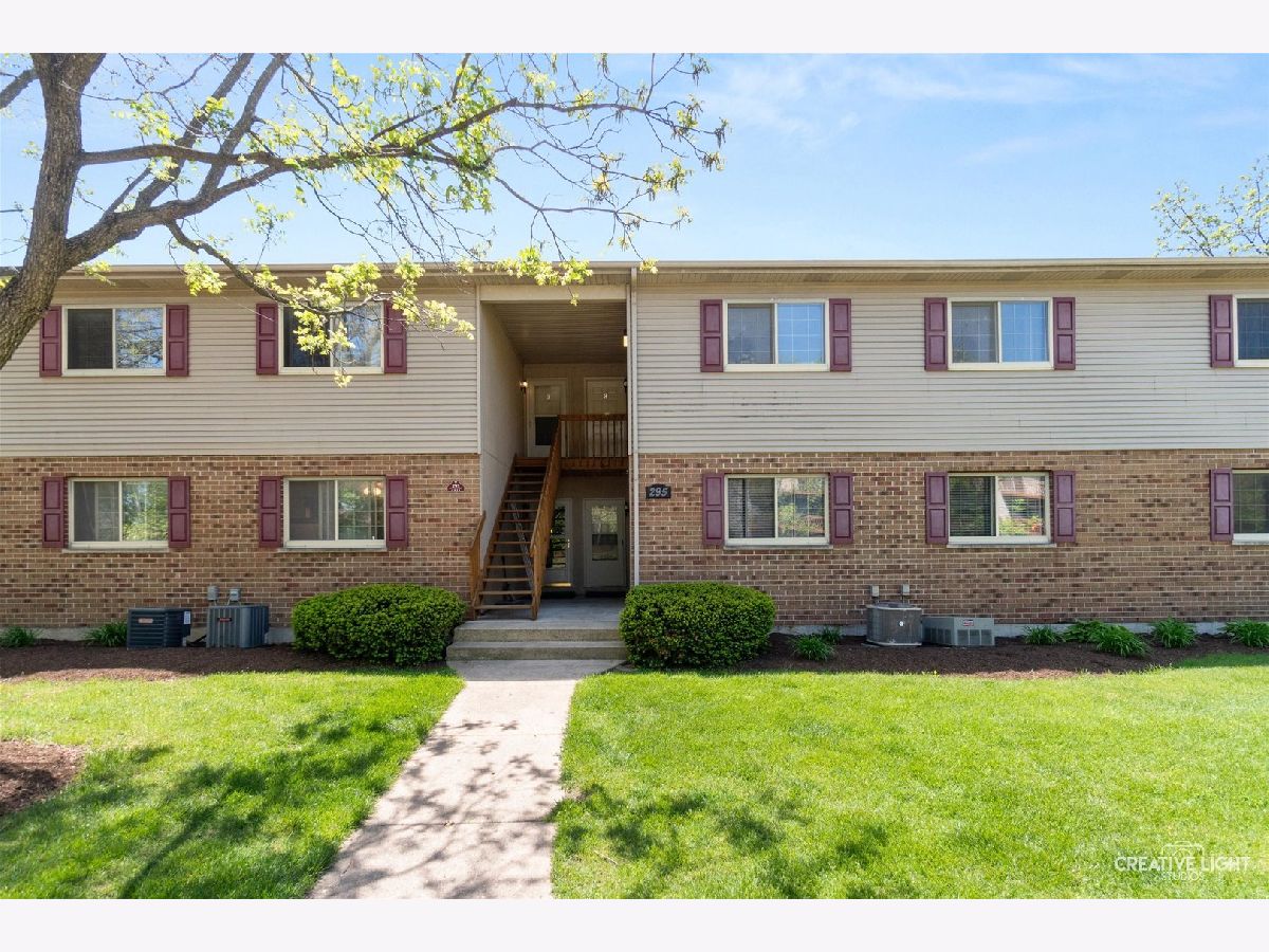 Condos & Townhomes & Homes For Sale Woodridge South Elgin Illinois, 295 Woodridge Circle