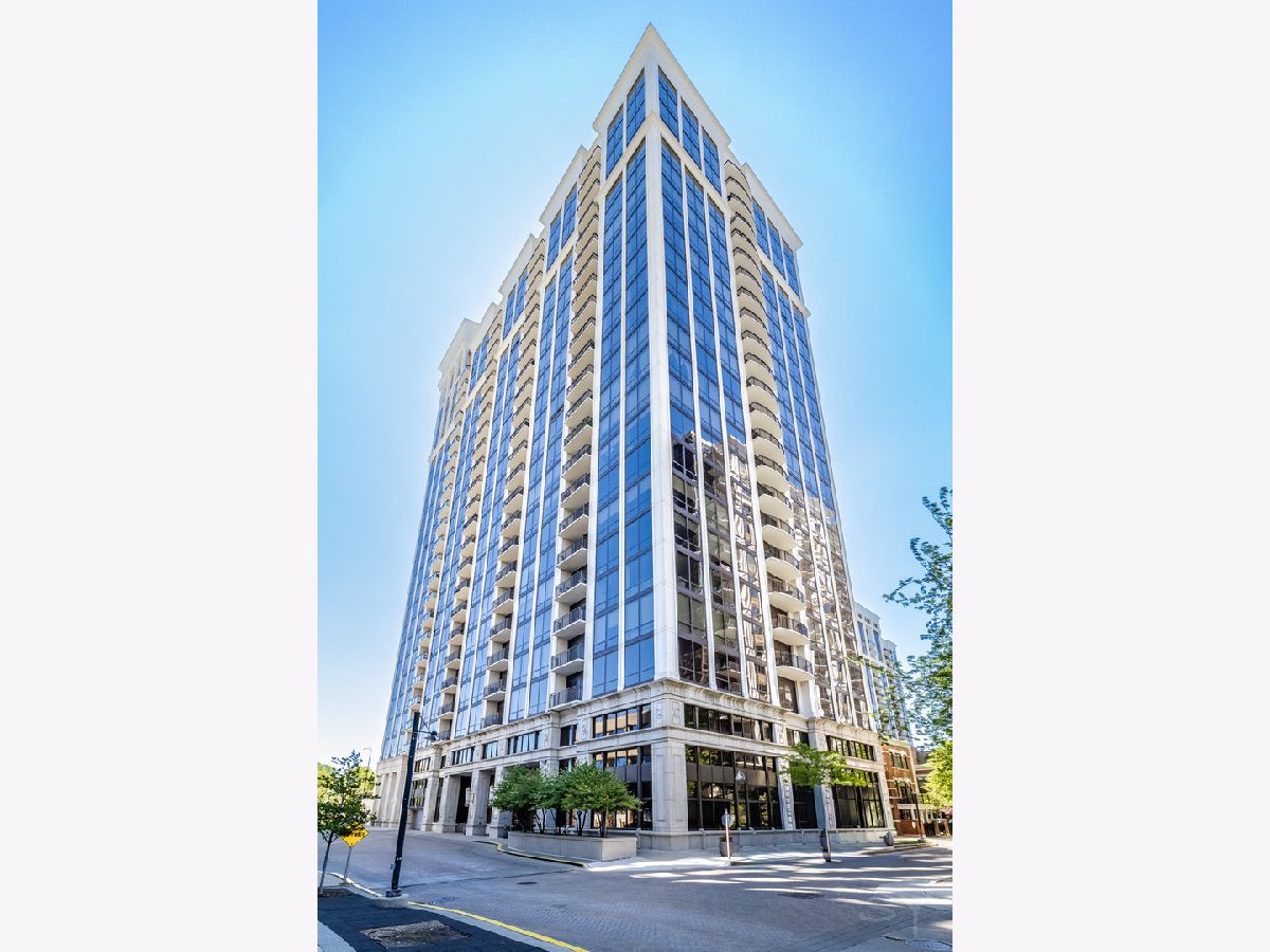  For Sale Chicago Illinois, 233 13th Street