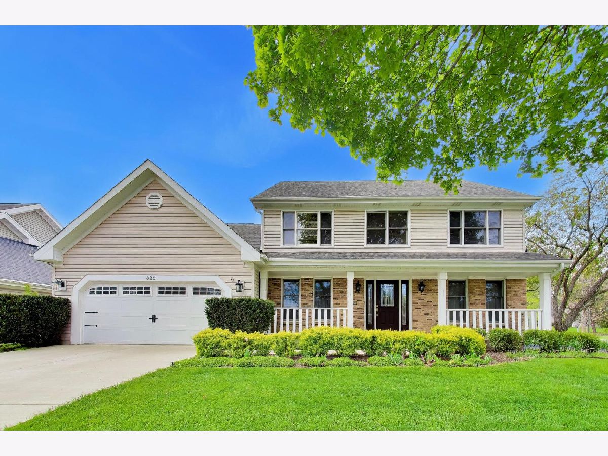 Homes For Sale Abbey Hill Palatine Illinois, 825 Dorset Avenue