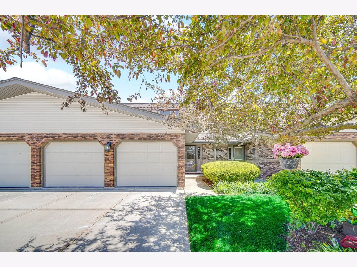  For Sale Manhattan Illinois, 240 Marion Street