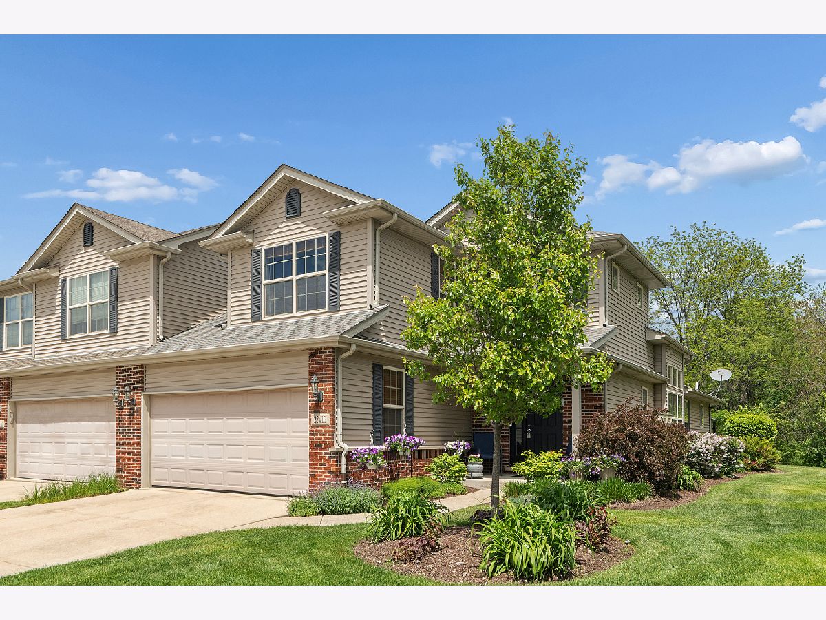 Townhomes & Homes For Sale Leighlinbridge Manhattan Illinois, 25419 Oconnel Lane