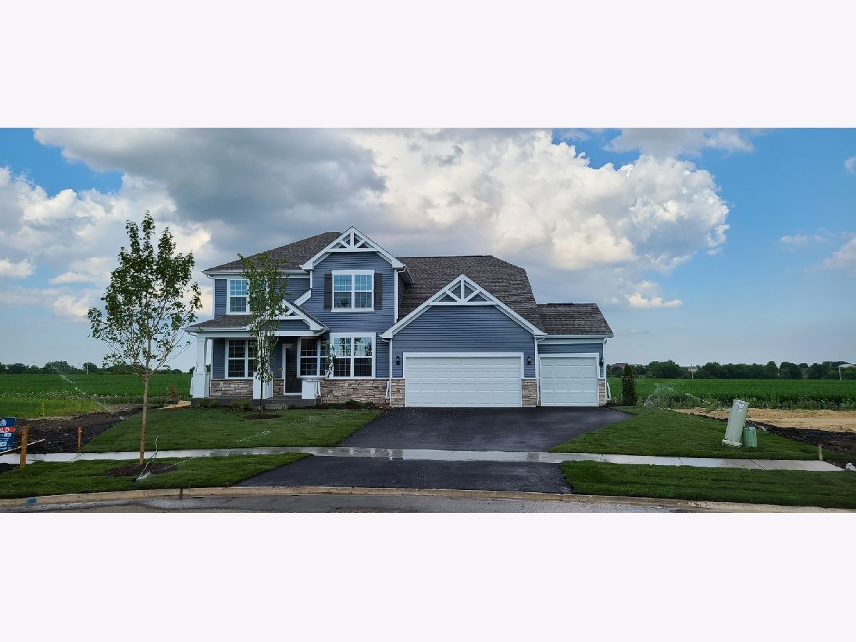 Homes For Sale Teerling Lakes New Lenox Illinois, 295 Osage Lane