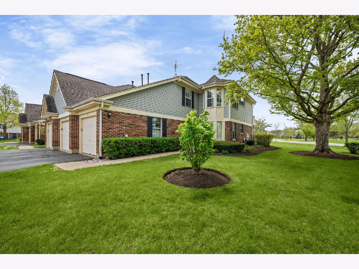  Rented Buffalo Grove Illinois, 143 Lawn