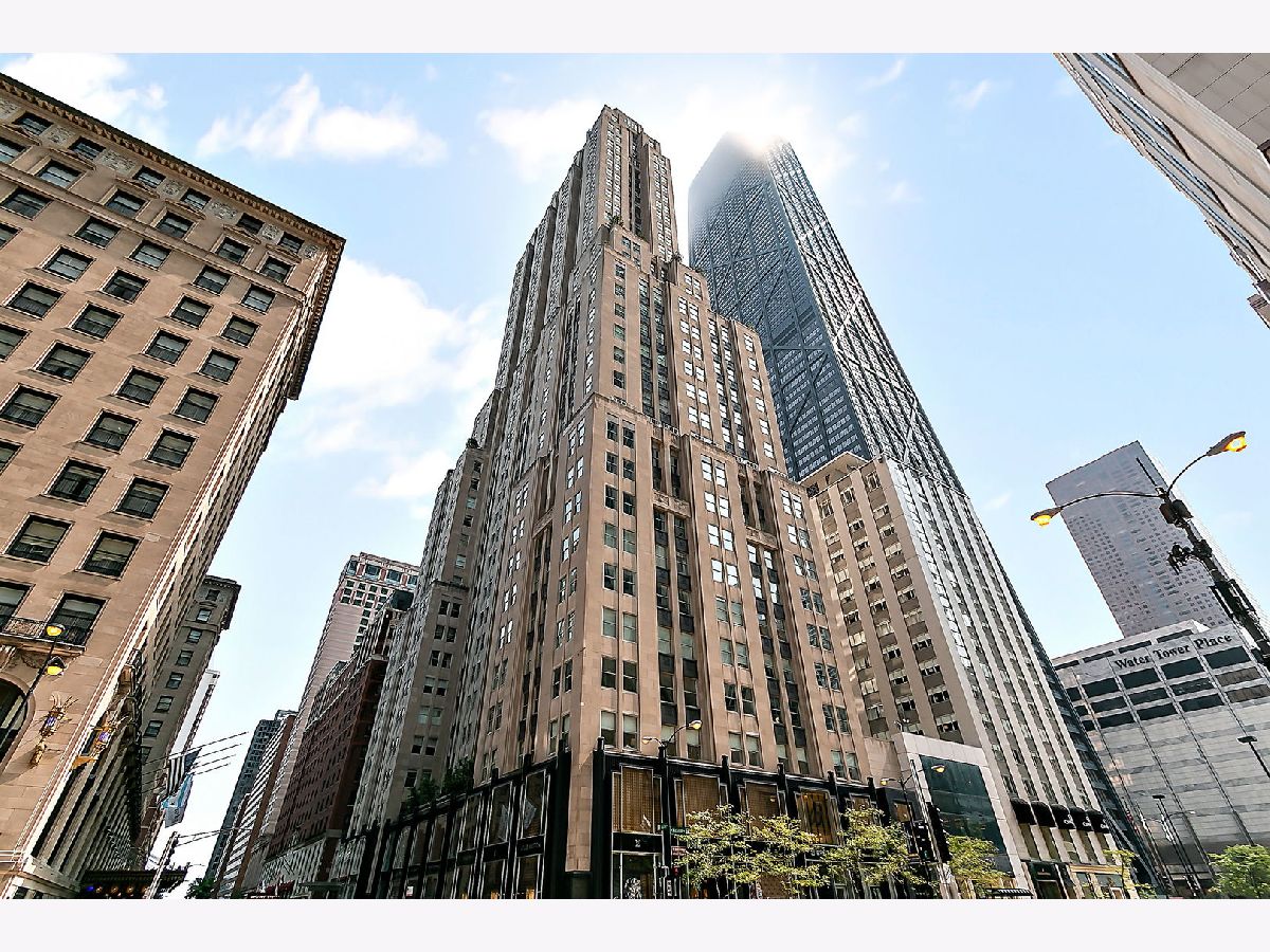Condos & Townhomes For Sale Palmolive Building Landmark Chicago Illinois, 159 Walton Place