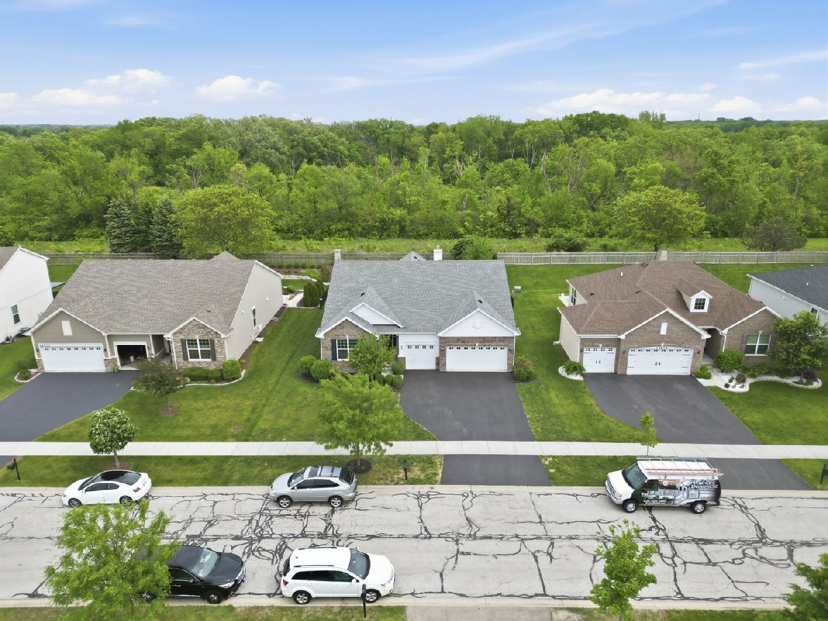 Homes For Sale Springbank Plainfield Illinois, 15932 Selfridge Circle