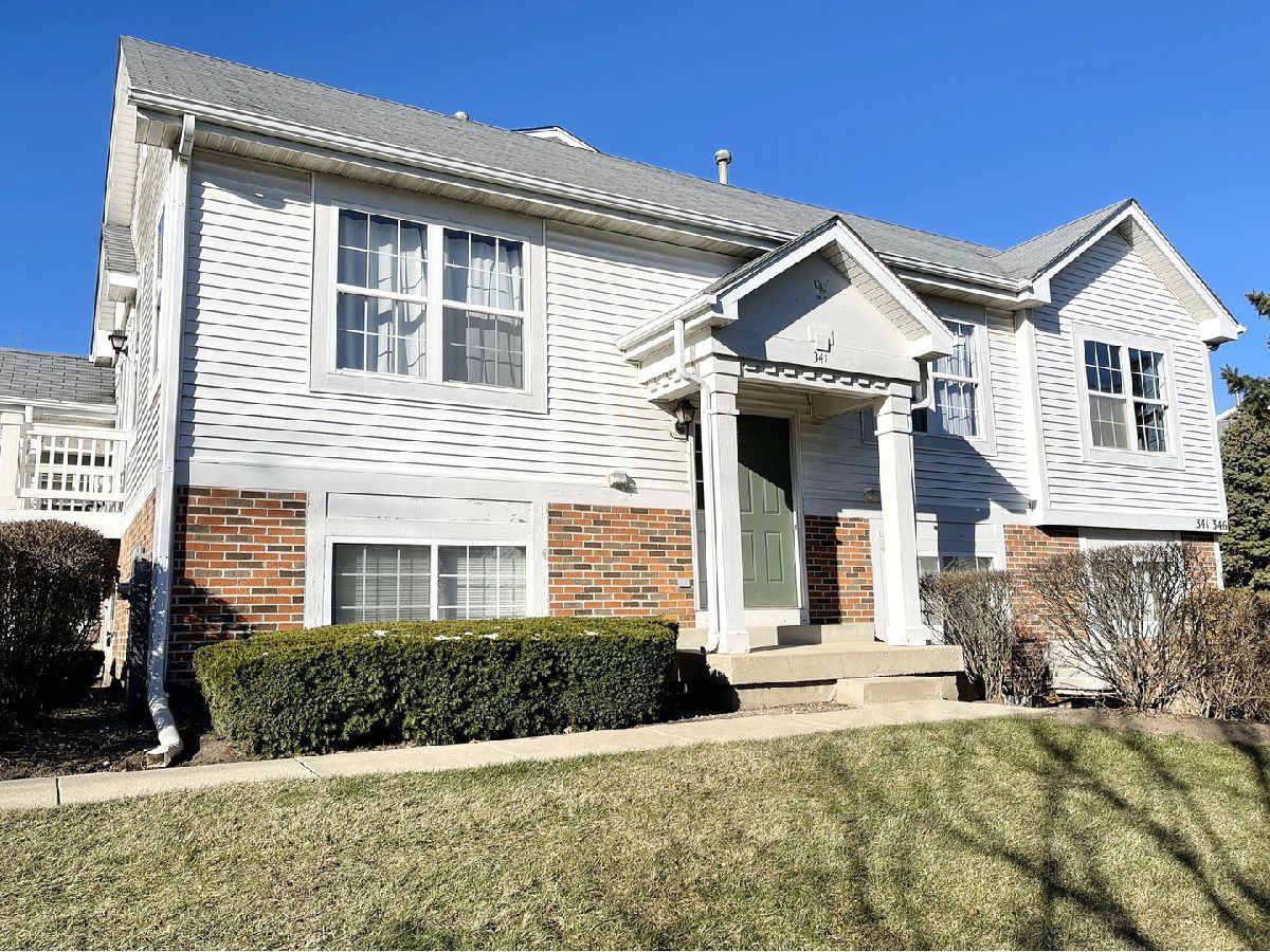  Rented Hainesville Illinois, 341 Holiday