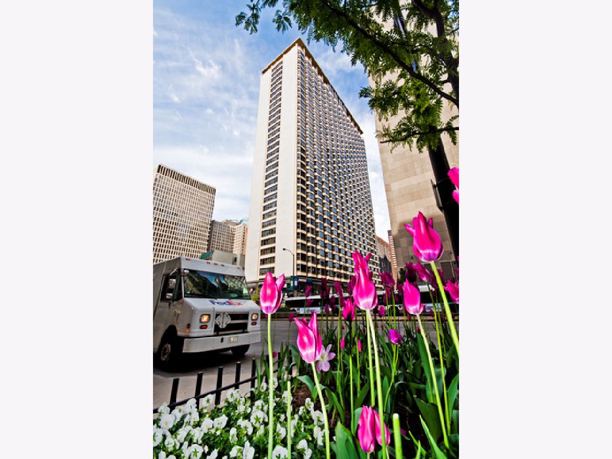  Rented Chicago Illinois, 535 Michigan