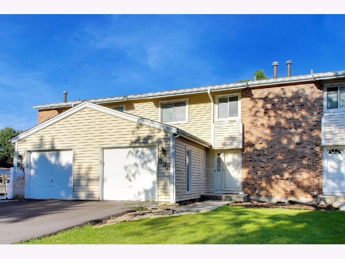  Rented Bolingbrook Illinois, 533 Thomas