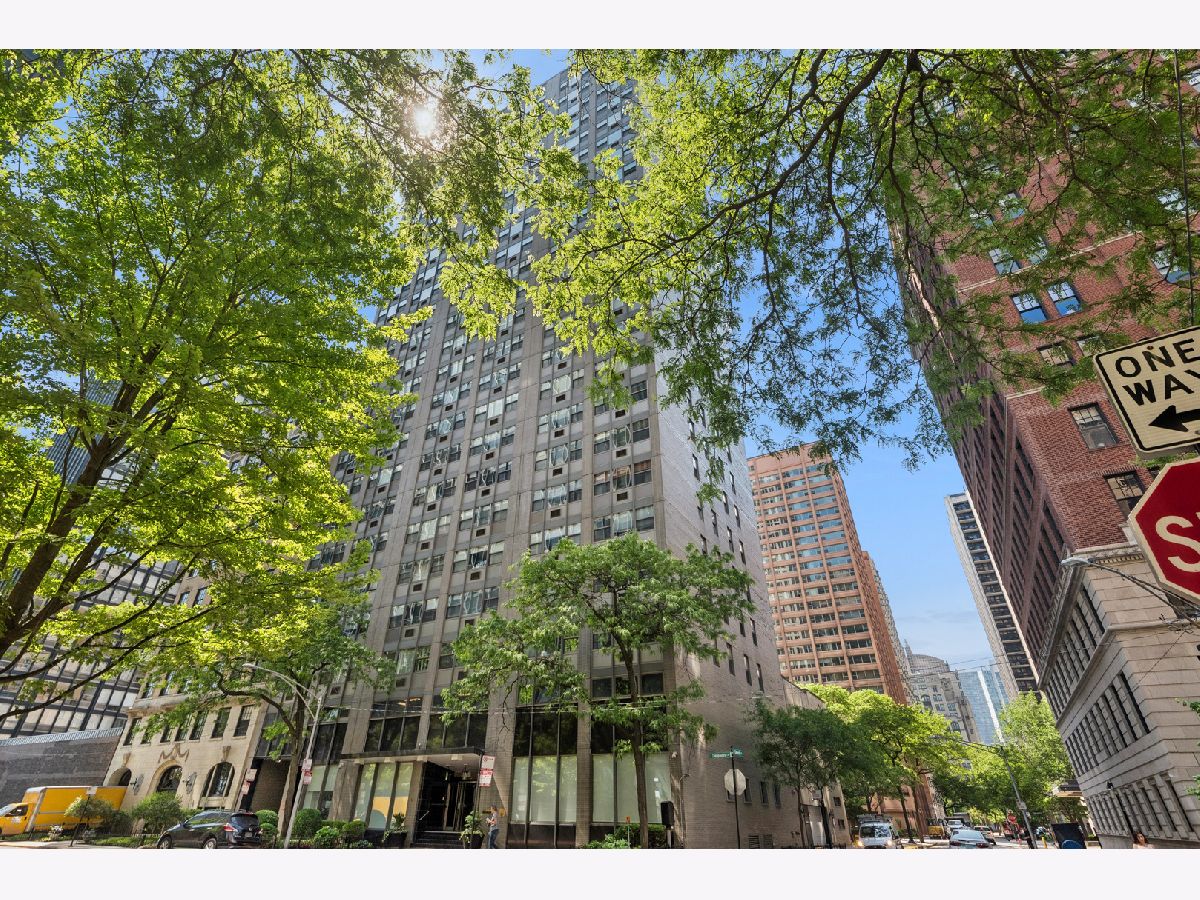 Condos & Townhomes For Sale Delaware Place Chicago Illinois, 253 Delaware Place