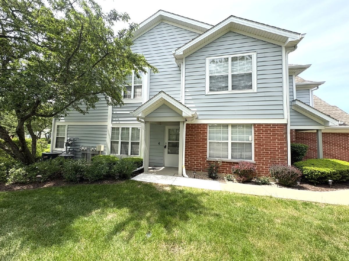  Rented Schaumburg Illinois, 258 Odlum
