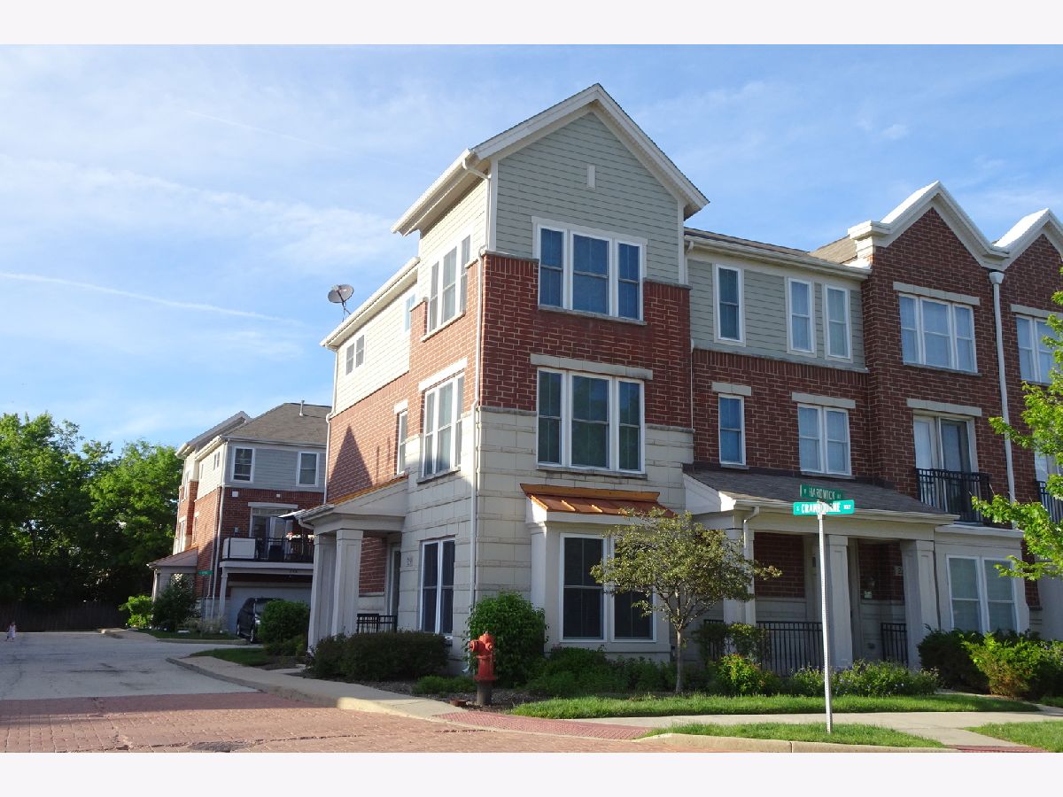  Rented Arlington Heights Illinois, 219 Hyde