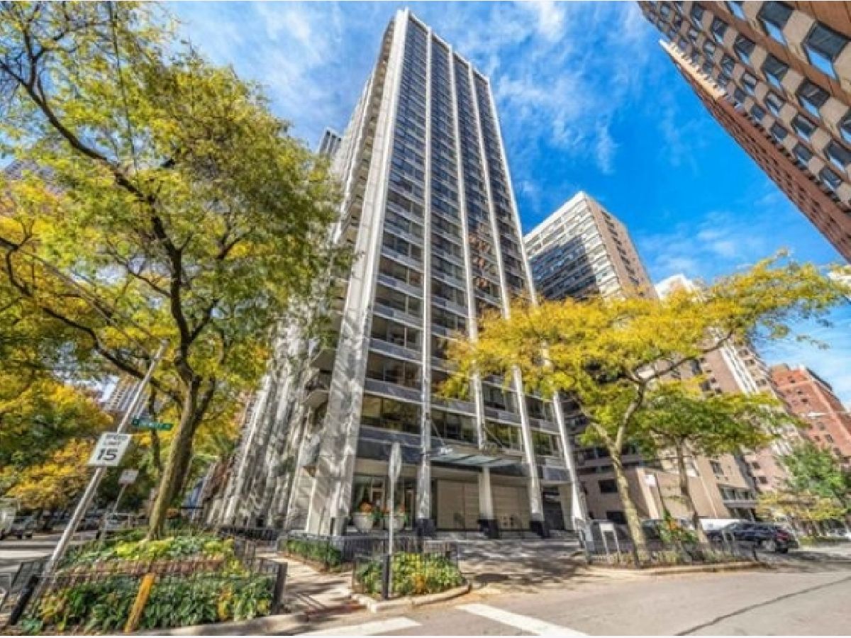 Condominiums For Rent Pearson On The Park Chicago Illinois, 222 Pearson