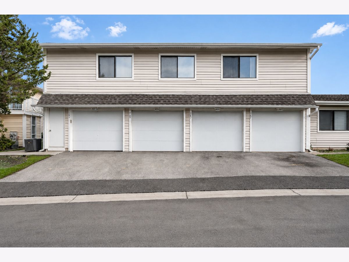  For Rent Schaumburg Illinois, 707 Sunfish