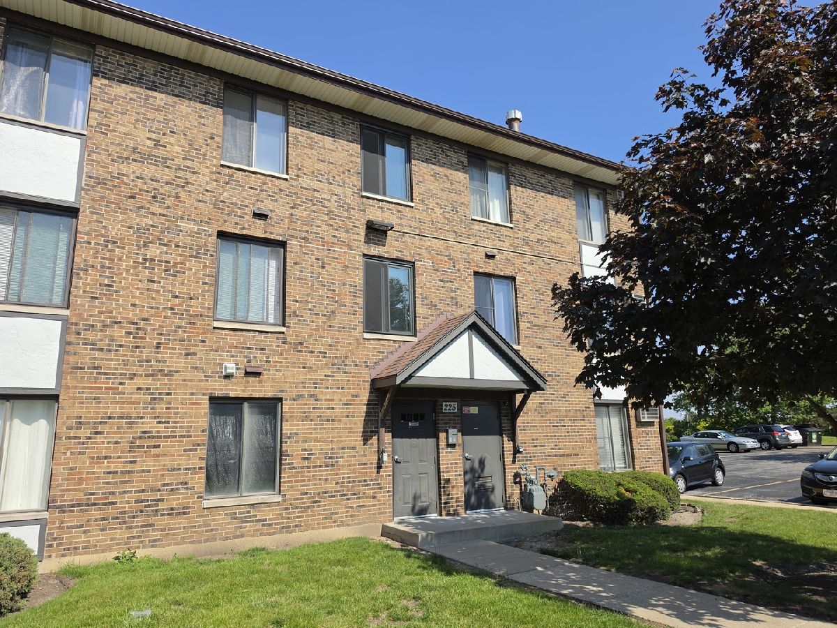 Condominiums For Rent Willows Of Fox Valley Aurora Illinois, 225 Gregory