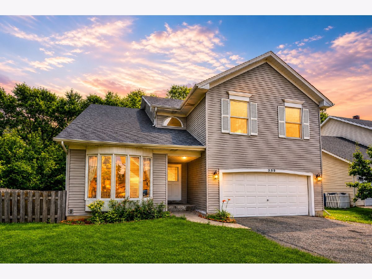  Rented Bartlett Illinois, 339 Windsor