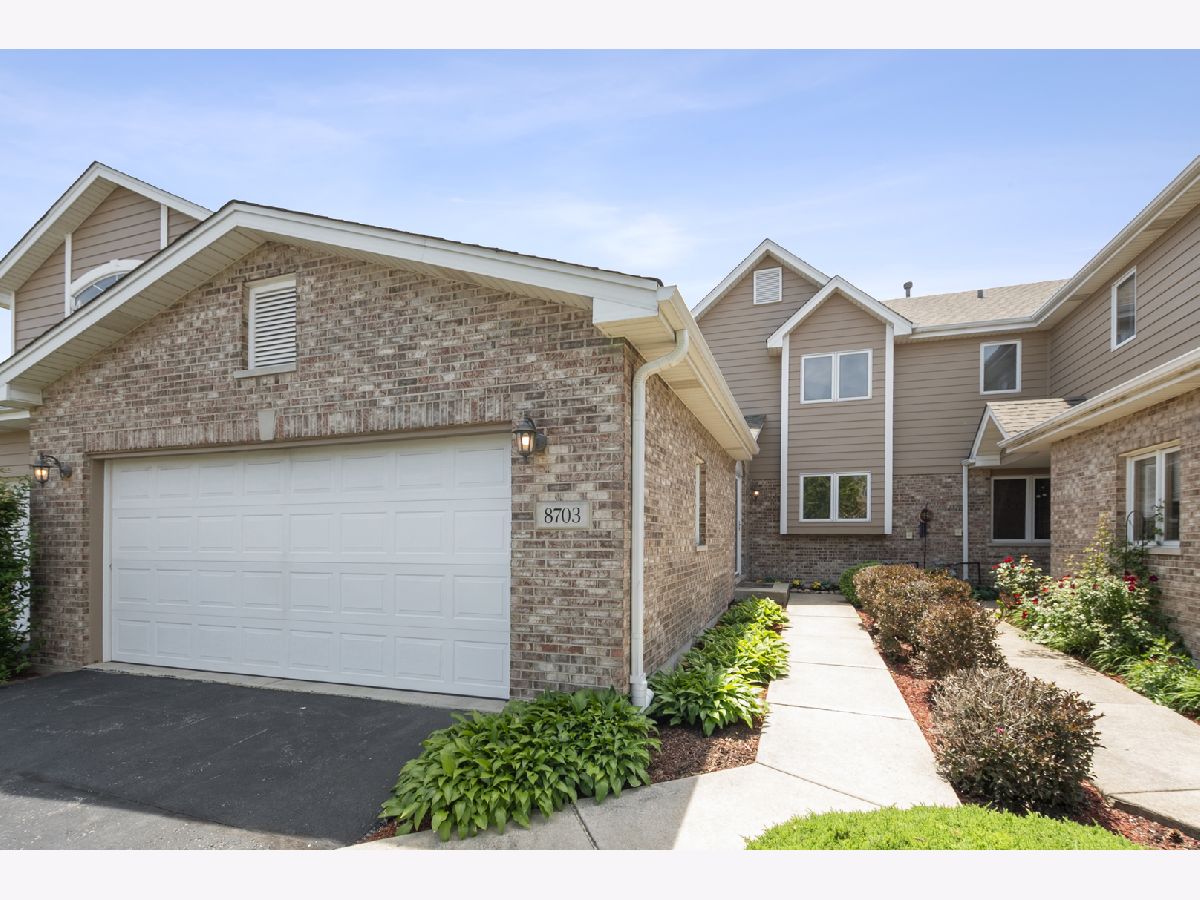 Homes & Townhomes & Condos For Sale Brookside Glen Tinley Park Illinois, 8703 Cashel Lane