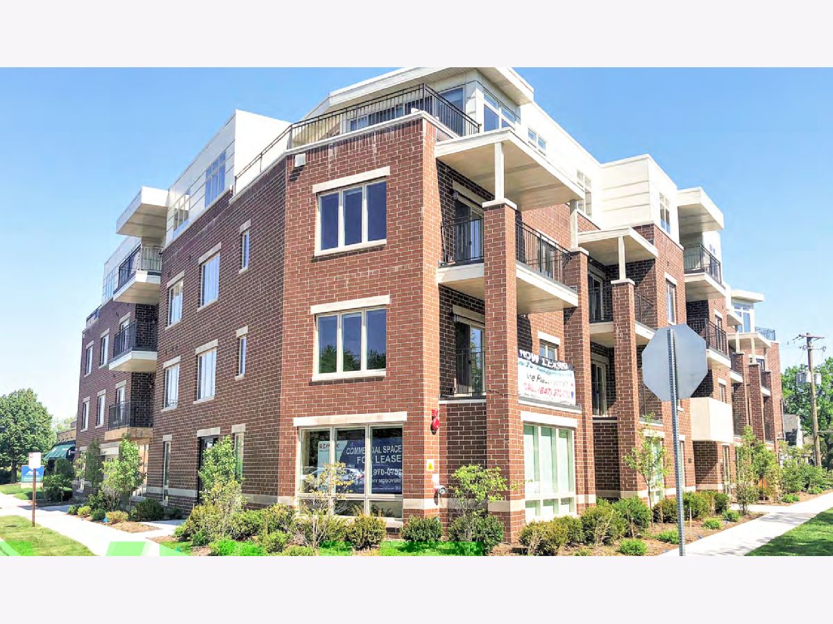  Rented Park Ridge Illinois, 1212 Vine