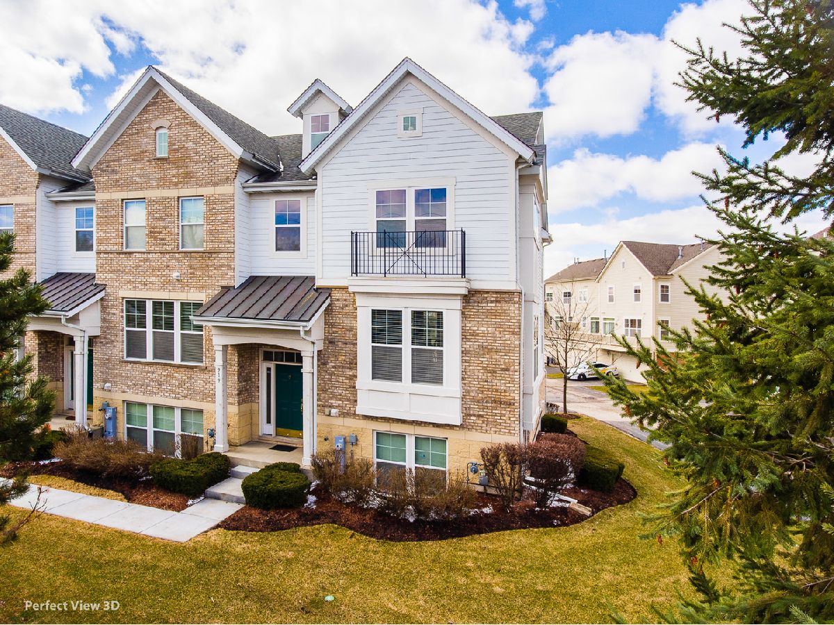 Townhomes For Sale Savannah Hanover Park Illinois, 919 Violet Drive