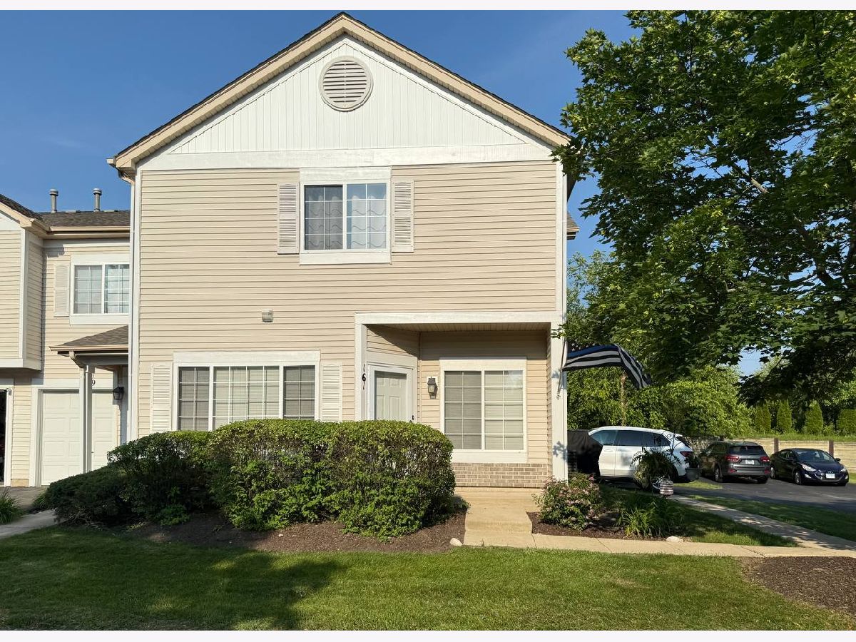 Townhomes & Condos For Rent Heather Glen Aurora Illinois, 161 Braxton