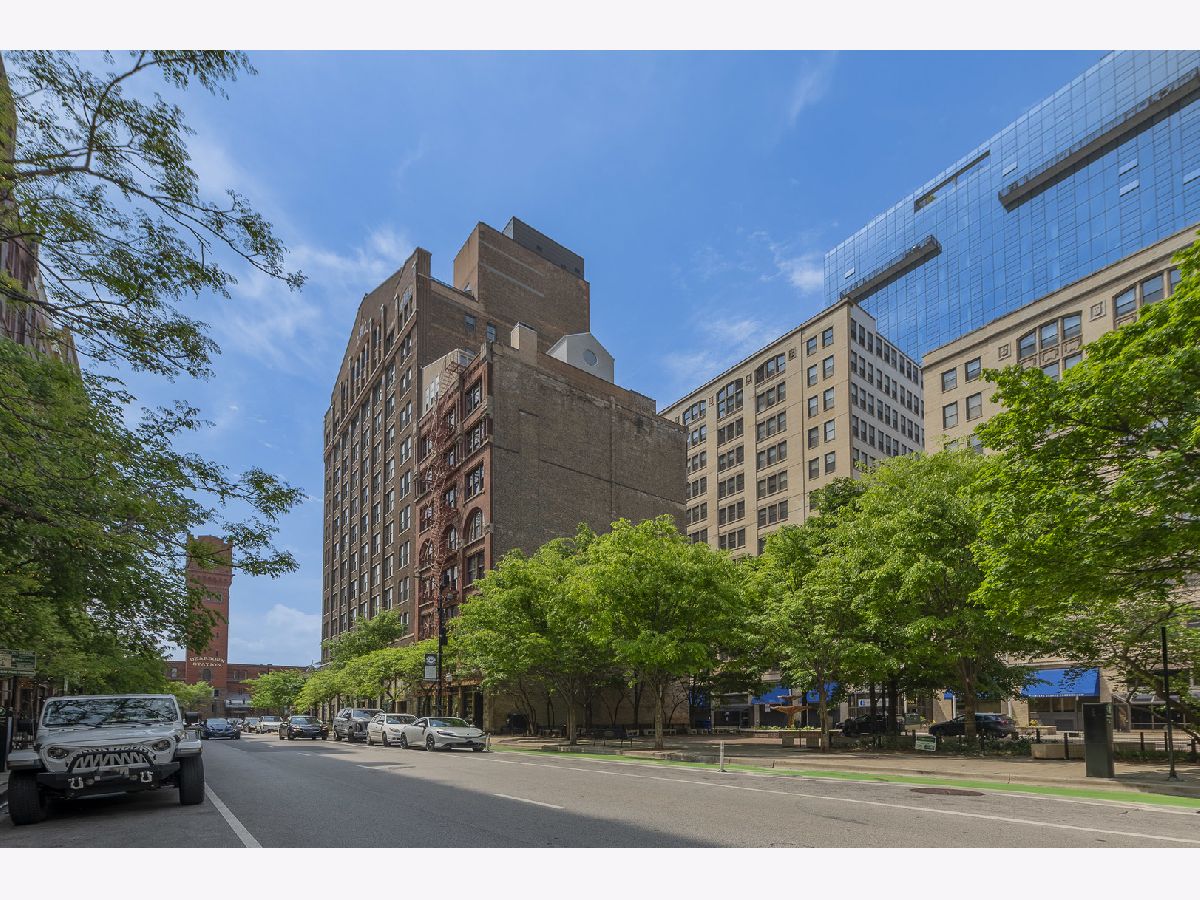Condominiums For Rent Printers Row Chicago Illinois, 714 Dearborn