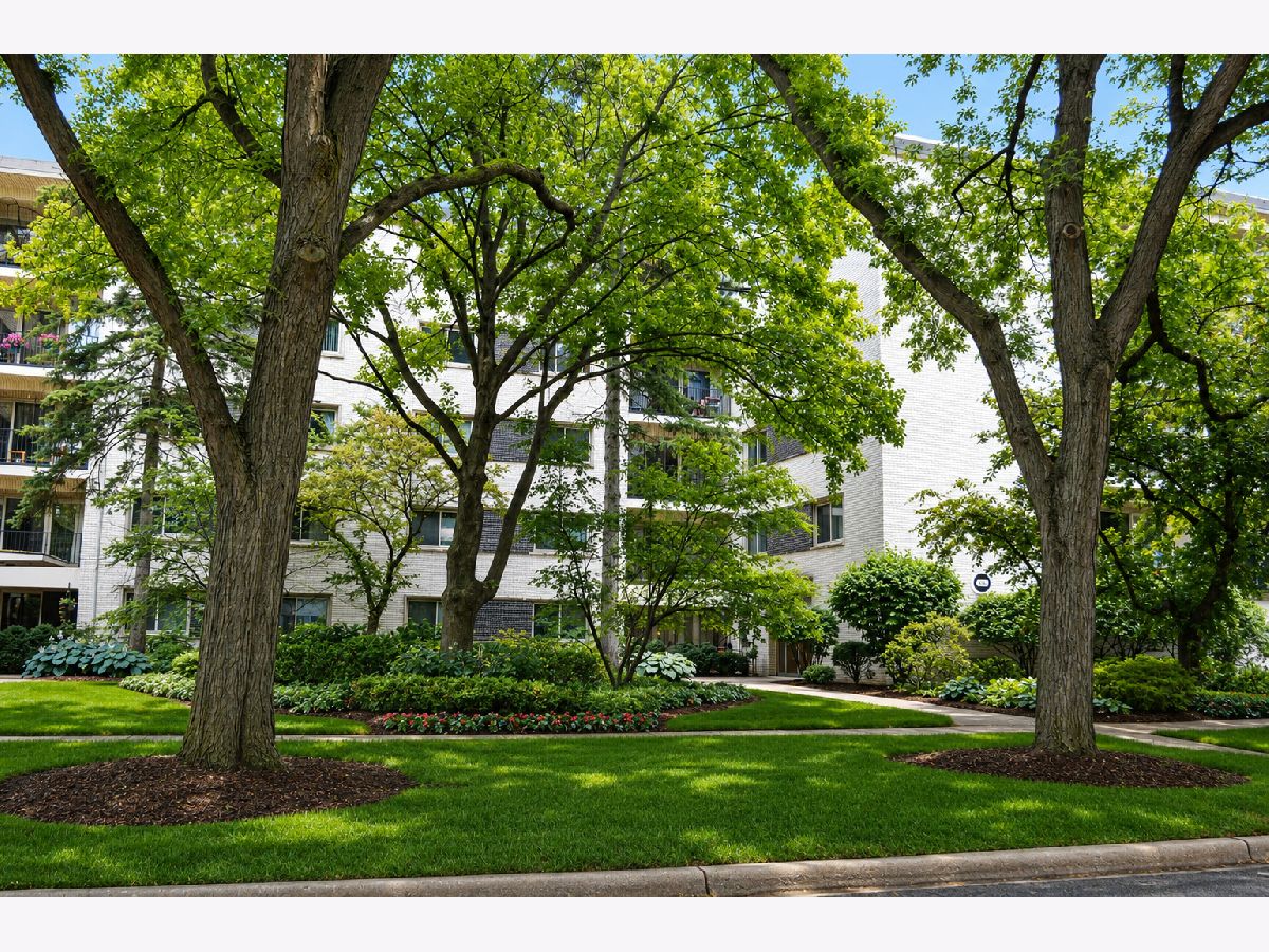  Sold River Forest Illinois, 407 Franklin