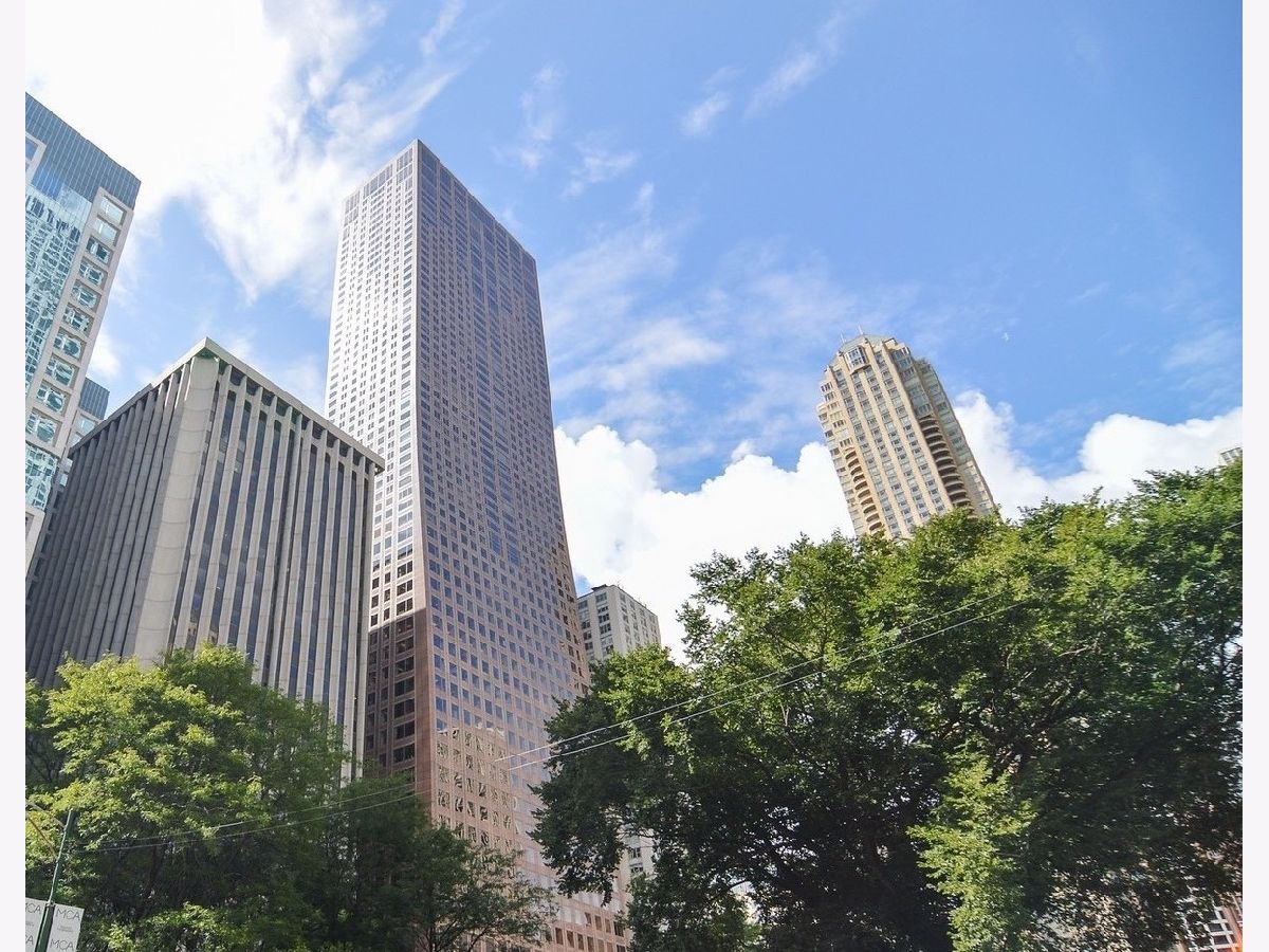  For Rent Chicago Illinois, 161 Chicago